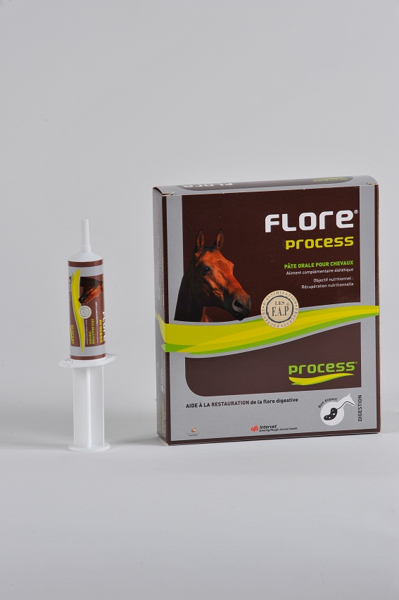 FLORE PROCESS CHEVAL B/5*20 ML lot de 10 FLORE PROCESS CHEVAL B/5*20 ML lot de 10